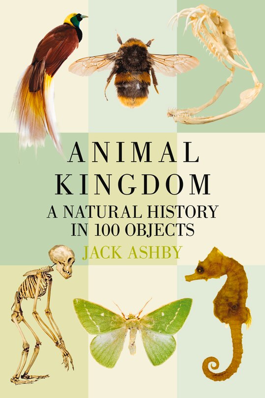 Couverture_Animal Kingdom