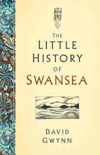 The Little History of Swansea by David Gwynn