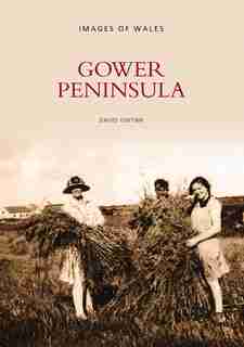 Gower Peninsula by David Gwynn