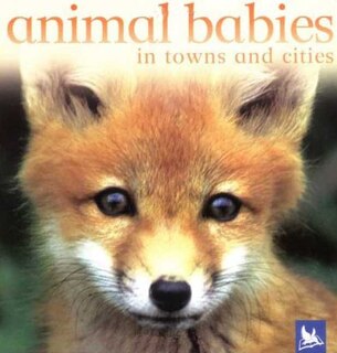 Front cover_Animal Babies in Towns and Cities