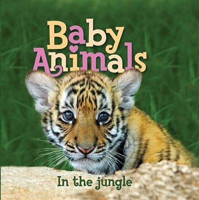 Front cover_Baby Animals In the Jungle