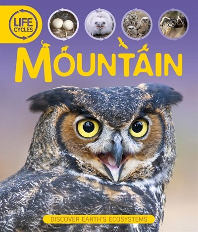 Front cover_Life Cycles: Mountain