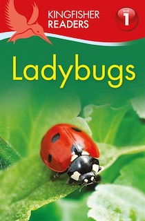 Couverture_Kingfisher Readers L1: Ladybugs