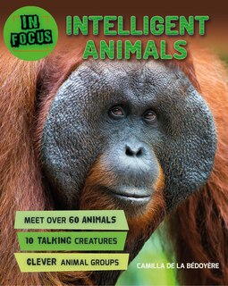 Front cover_In Focus: Intelligent Animals