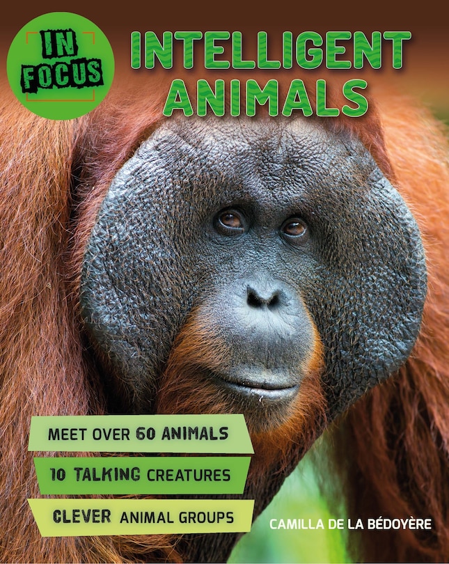 Front cover_In Focus: Intelligent Animals