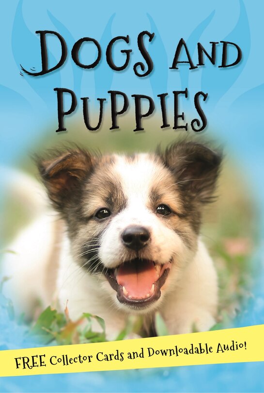 Front cover_It's All About... Dogs And Puppies