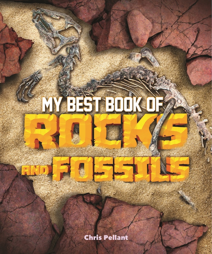 Couverture_My Best Book Of Rocks And Fossils