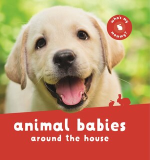 Couverture_Animal Babies Around The House