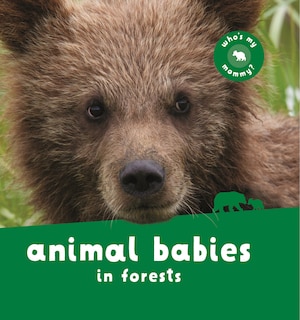 Couverture_Animal Babies In Forests
