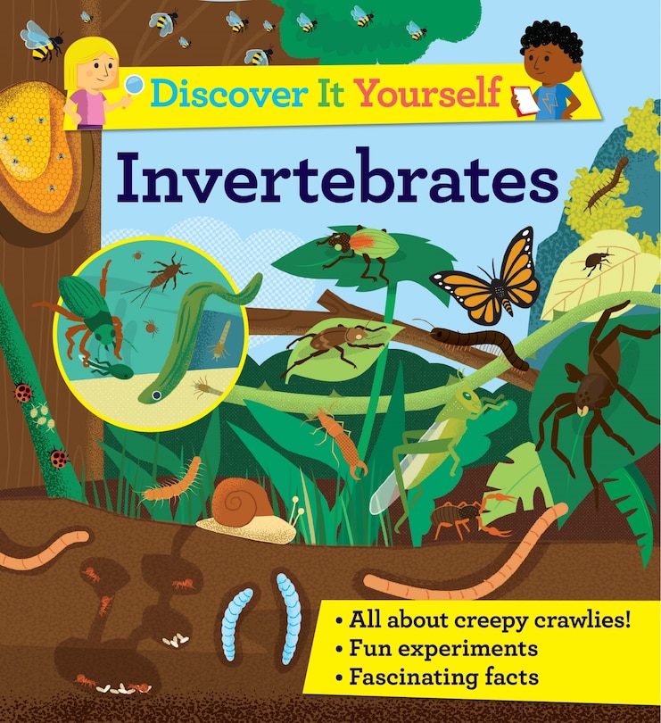 Front cover_Discover It Yourself: Invertebrates