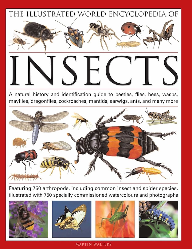 Couverture_The Illustrated World Encyclopedia of Insects
