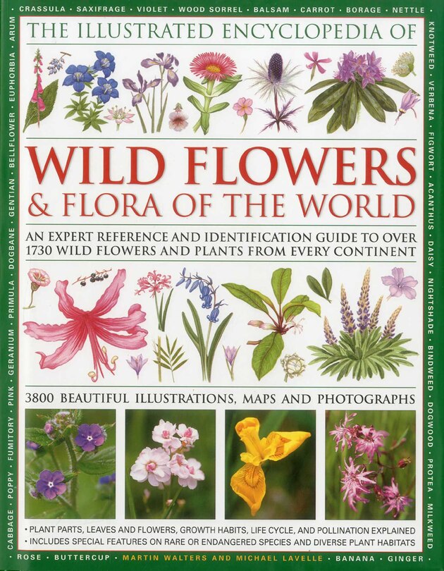 Couverture_Illustrated Encyclopedia of Wild Flowers & Flora of the World