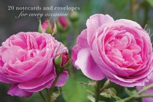 Card Box of 20 Notecards and Envelopes: Pink Rose: A delightful pack of high-quality flower gift cards and decorative envelopes