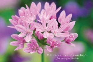 Couverture_Card Box of 20 Notecards and Envelopes