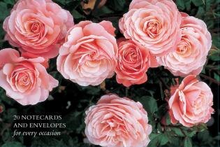 Couverture_Card Box of 20 Notecards and Envelopes