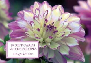 Couverture_Tin Box of 20 Gift Cards and Envelopes