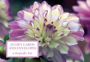 Couverture_Tin Box of 20 Gift Cards and Envelopes
