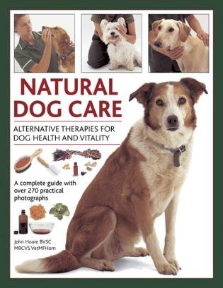 Natural Dog Care Alternative Therapies For Dog Health And