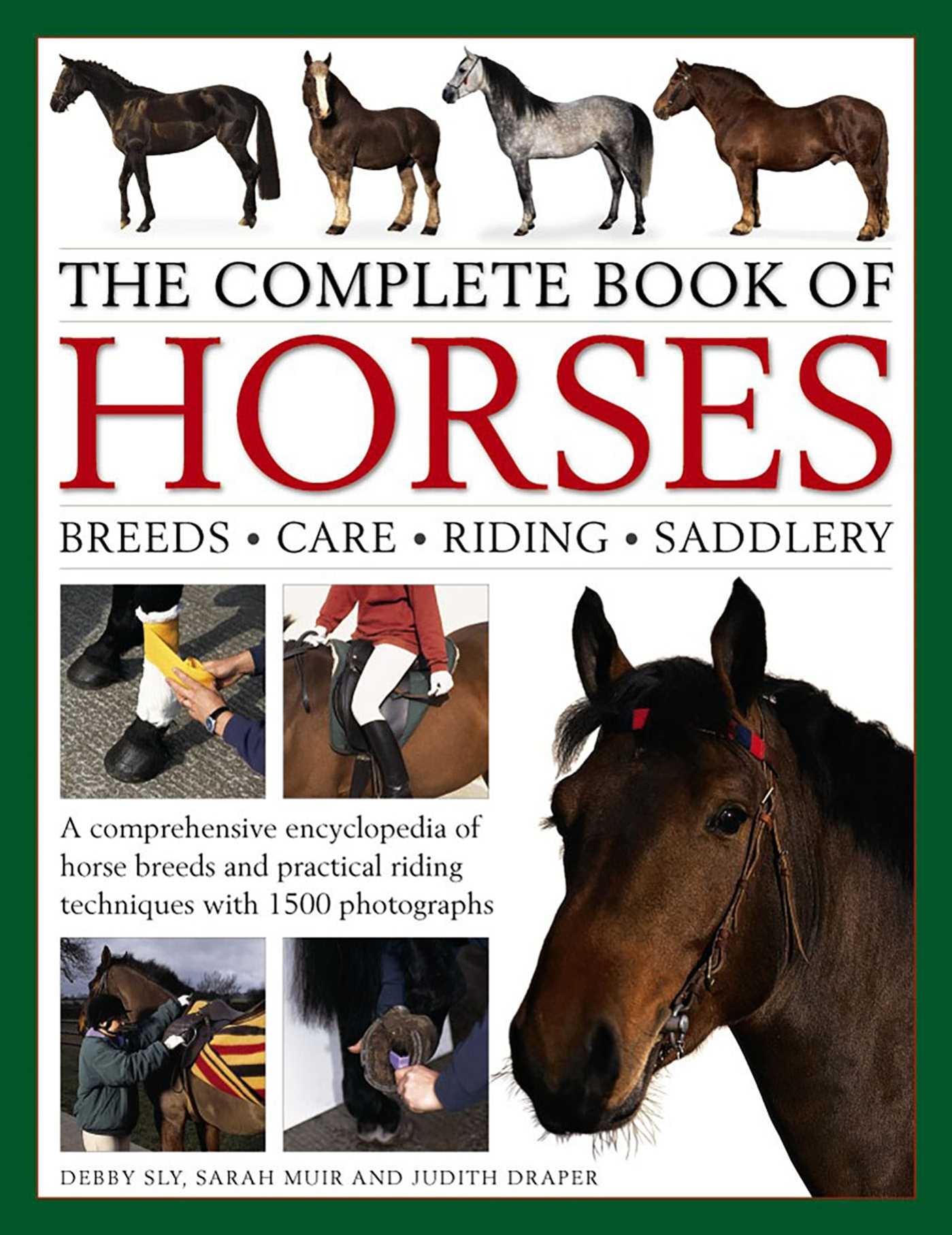 Horse Breeds&Breeding-Jane Kidd 洋書 Horse Breeds&Breeding-Jane Kidd 洋書 - メルカリ