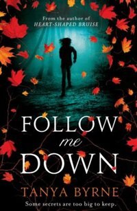 Couverture_Follow Me Down