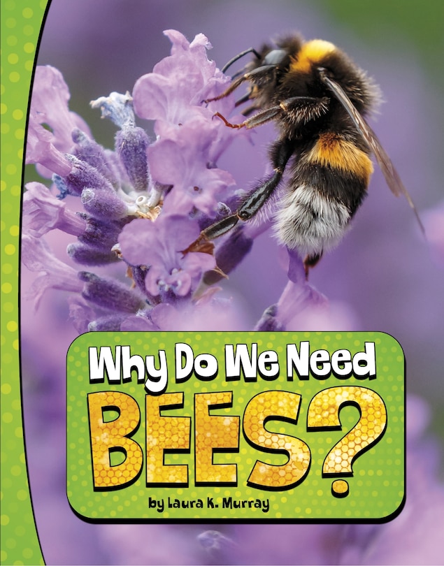 Front cover_Why Do We Need Bees?