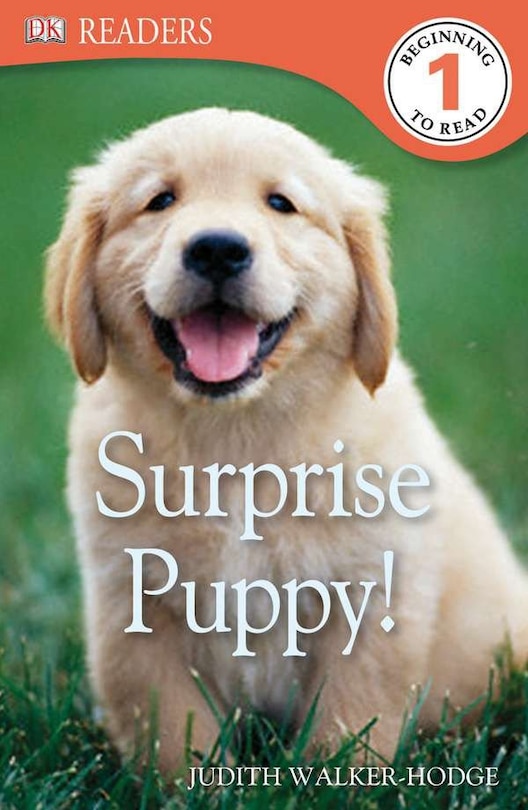 Front cover_Dk Readers L1: Surprise Puppy