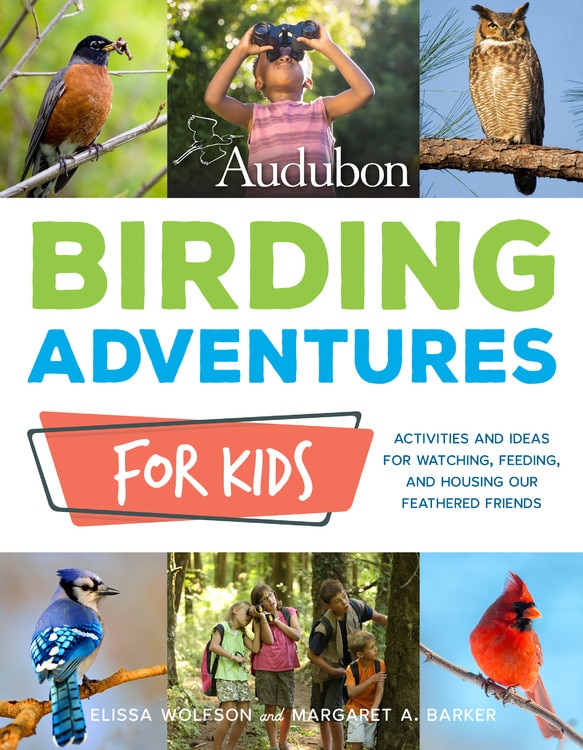 Front cover_Kids' Field Guide to Birds