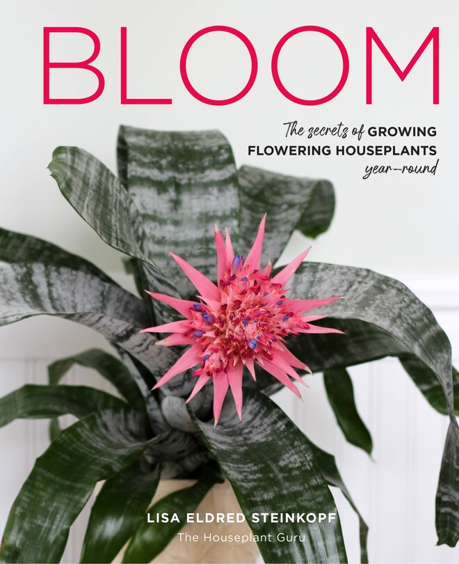Couverture_Bloom