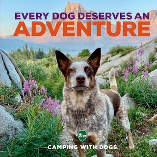 Front cover_Every Dog Deserves an Adventure