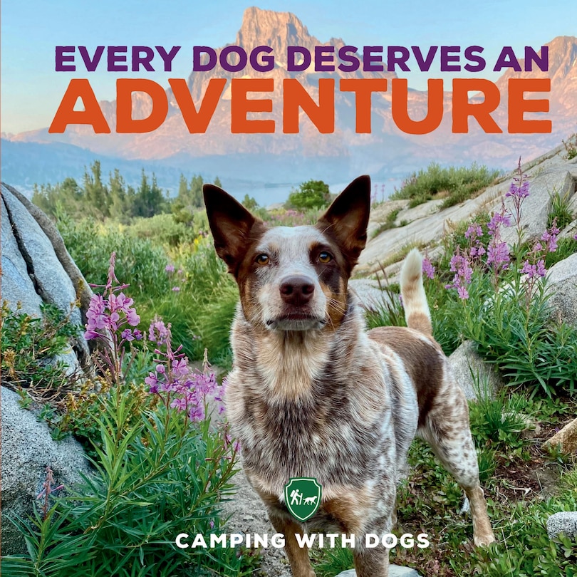 Front cover_Every Dog Deserves an Adventure