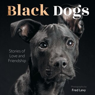 Front cover_Black Dogs