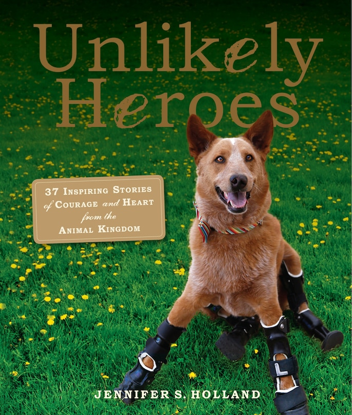Front cover_Unlikely Heroes