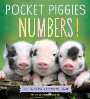 Couverture_Pocket Piggies Numbers!