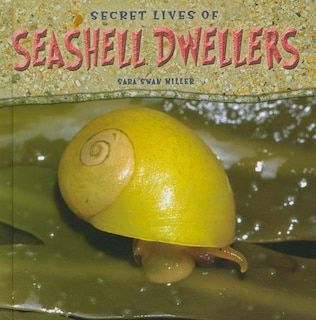 Front cover_Secret Lives of Seashell Dwellers