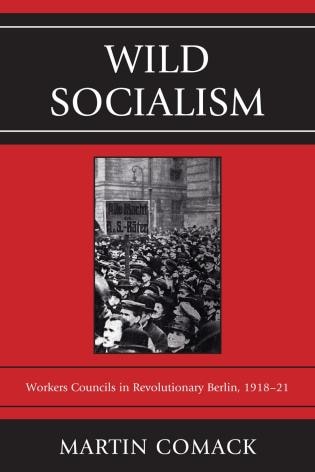 Couverture_Wild Socialism