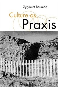 Front cover_Culture as Praxis