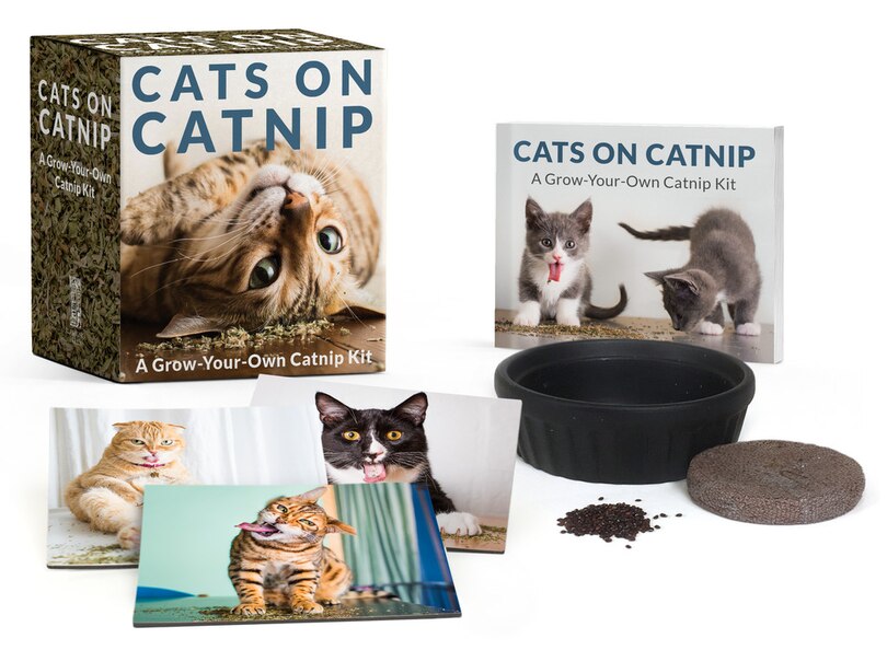Couverture_Cats On Catnip