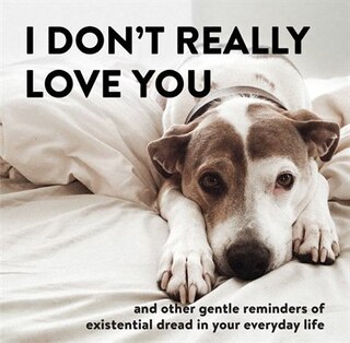 Couverture_I Don't Really Love You