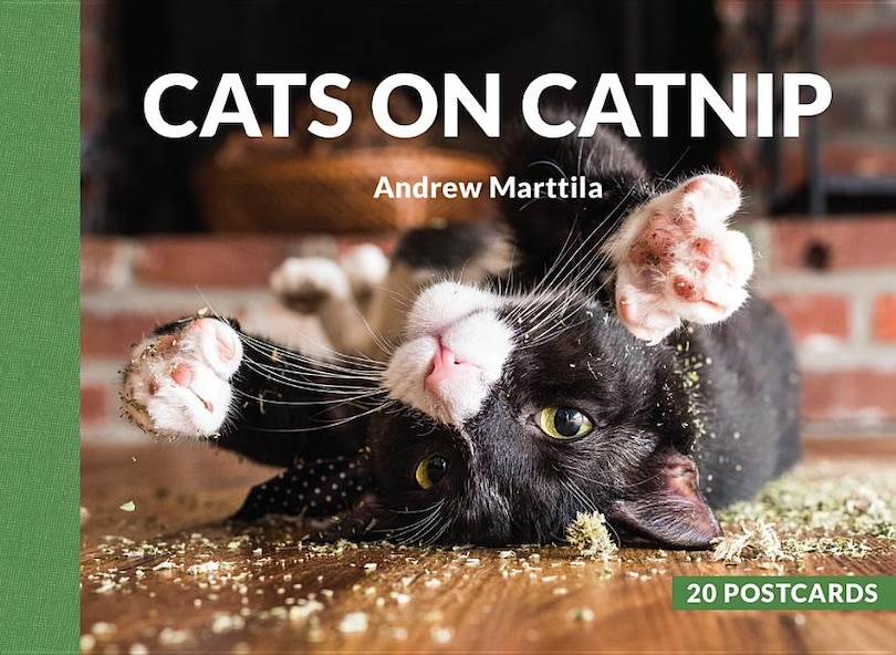 Cats On Catnip: 20 Postcards