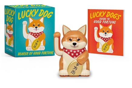 Lucky Dog: Bearer Of Good Fortune