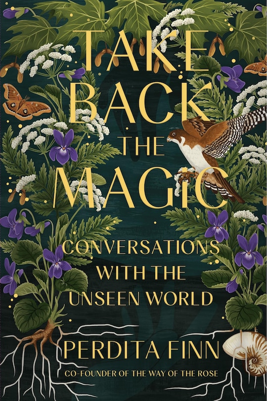 Front cover_Take Back the Magic