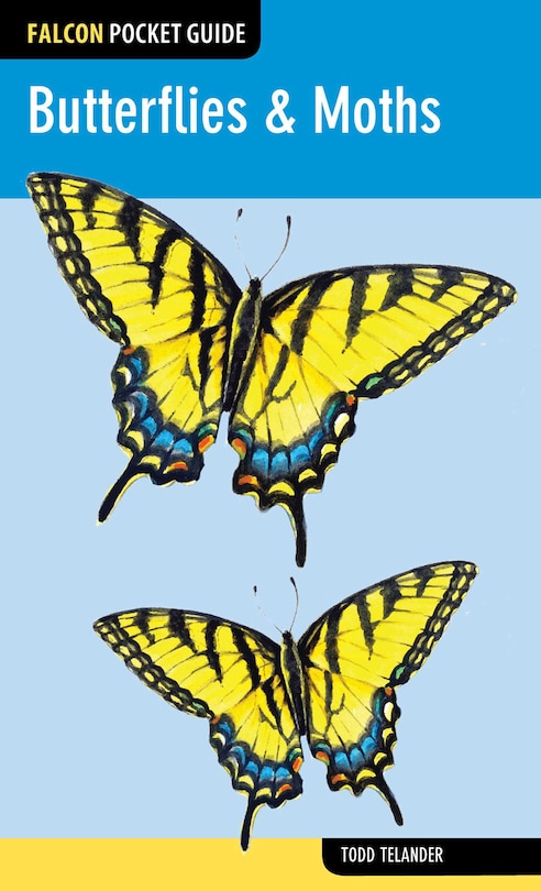 Front cover_Butterflies & Moths