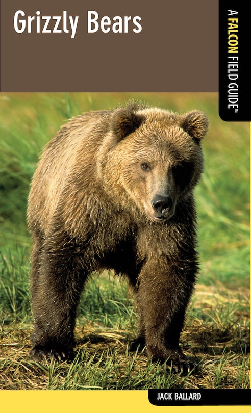 Couverture_Grizzly Bears