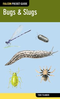 Front cover_Bugs & Slugs