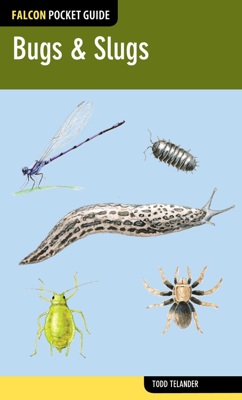 Front cover_Bugs & Slugs