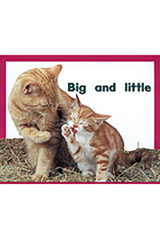 Couverture_Big and Little