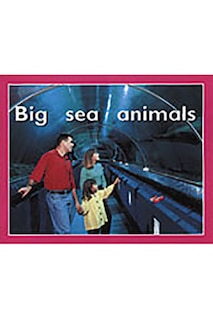 Couverture_Big Sea Animals