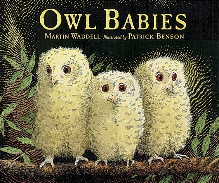 Front cover_Owl Babies Big Book