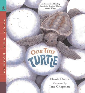 Couverture_One Tiny Turtle