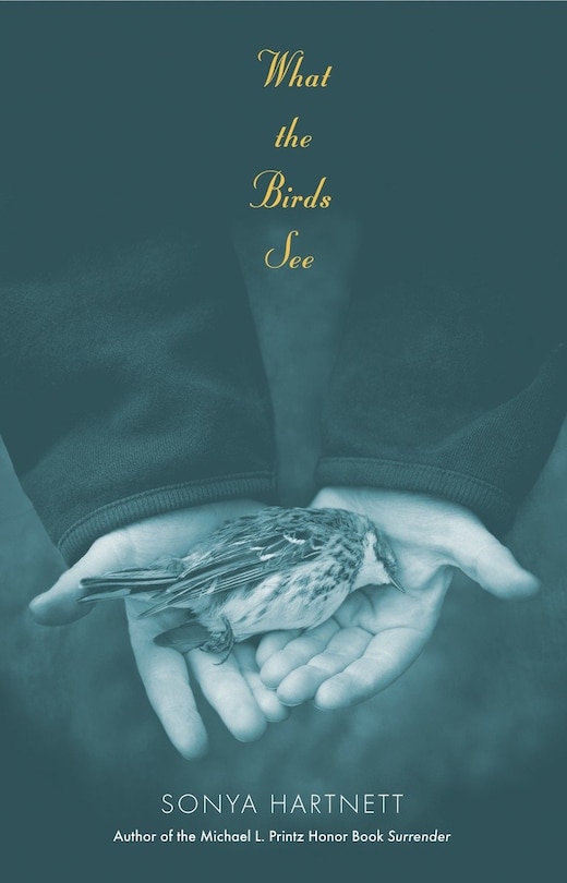 Couverture_What The Birds See